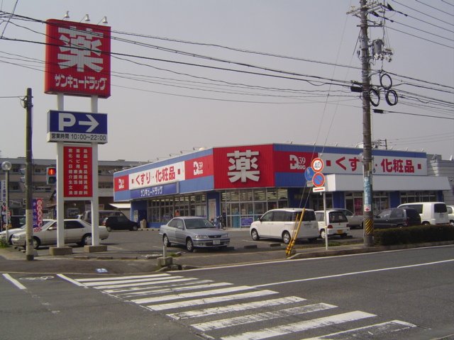 ガーベラ・テトラ その他