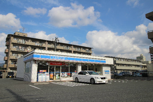 レオネクストはなもも舘 コンビニ