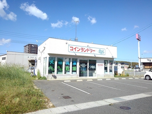 ターナリーⅤ その他