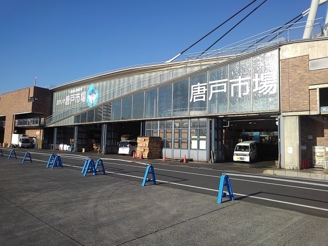 シャトレ　桜１ その他