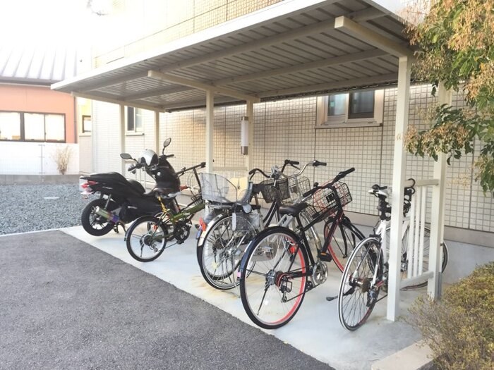 エストレーラ その他