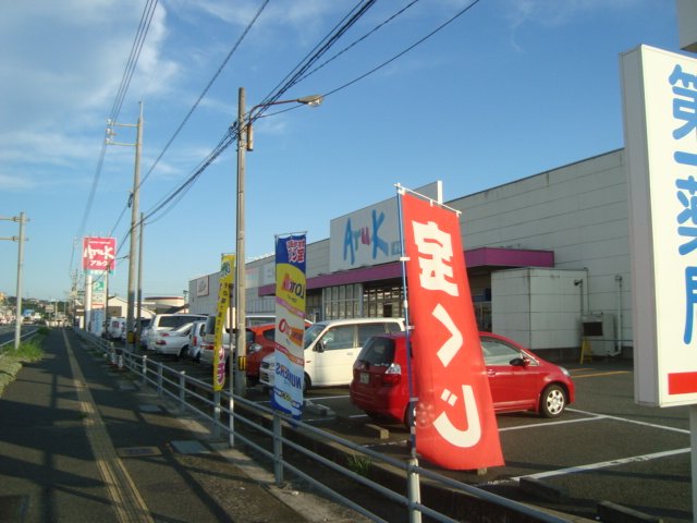 ガーベラ・テトラ その他