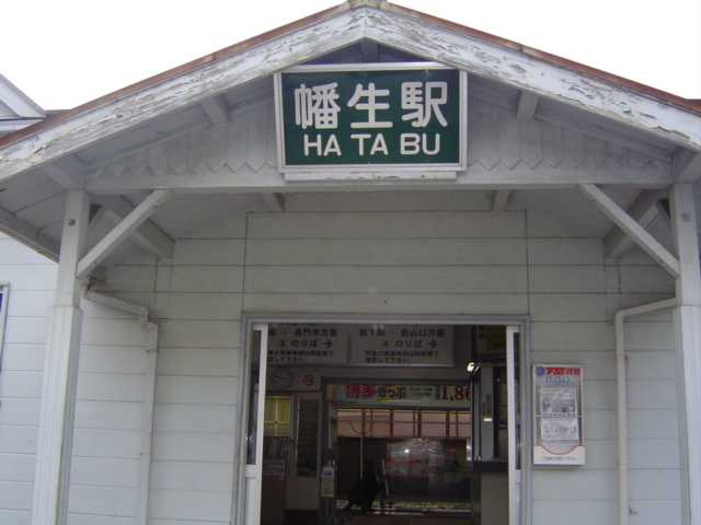 ガーベラ・テトラ その他