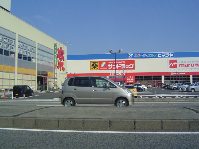 ルピナス咲 その他