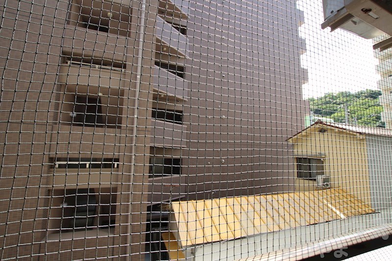 ロイヤルハイツ清水町 眺望