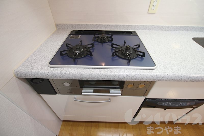 ヴァレーレ県庁前 その他