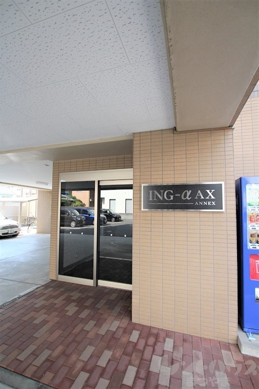 ing-αANNEX その他