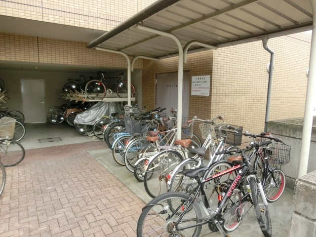 アルドーレ その他