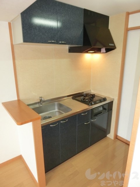 ドルーク三番町 キッチン