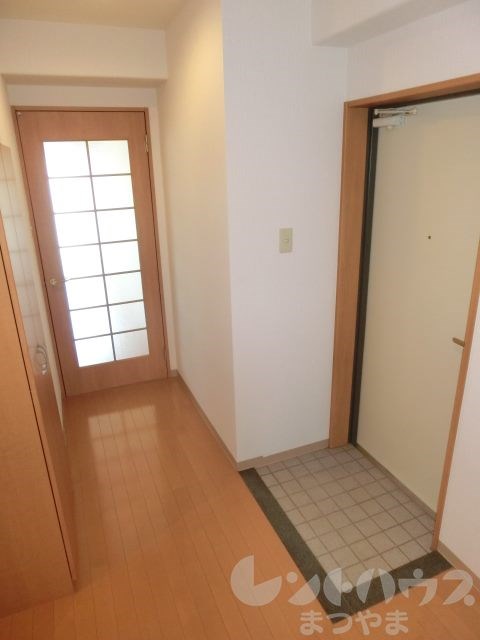 Rinchnarno n+ その他