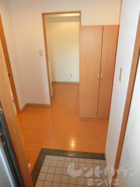 Rinchnarno n+ その他