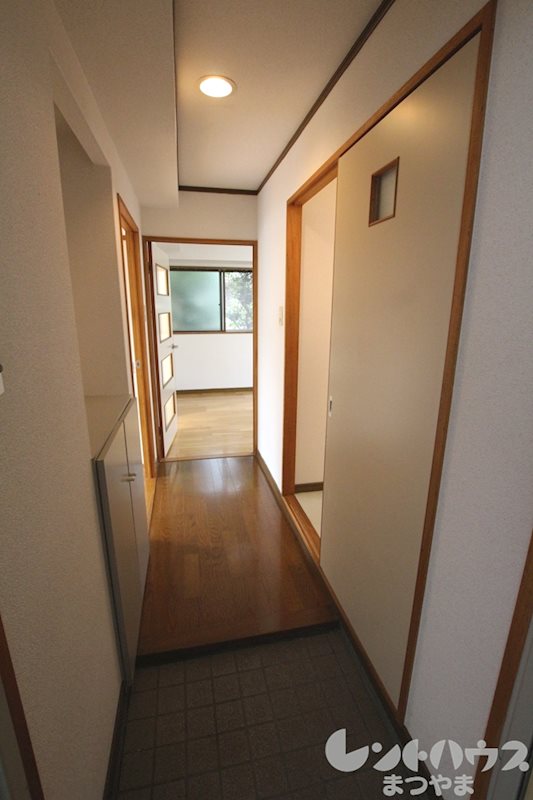 アネシスK その他