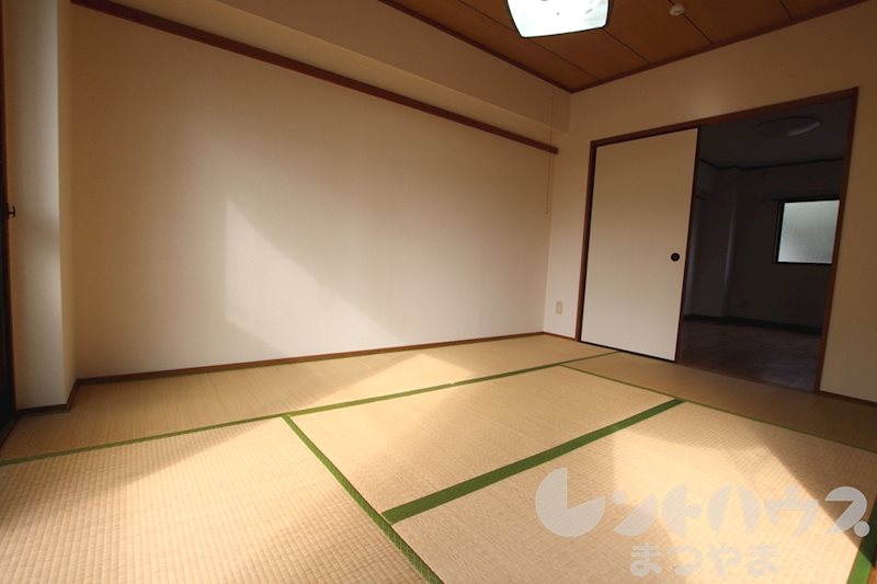 アネシスK その他