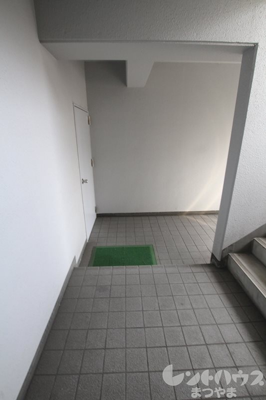 アネシスK その他