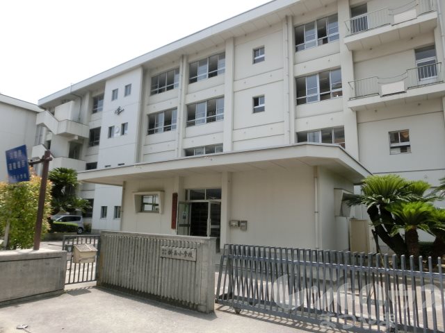 アネシスK 小学校