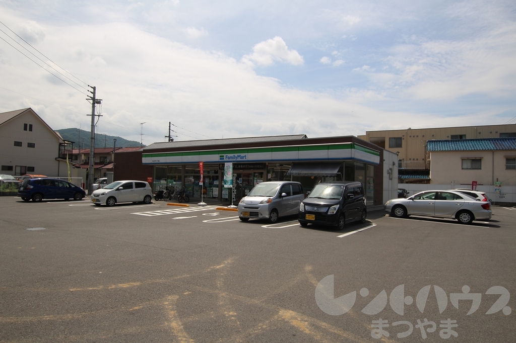 キャッスル石手 コンビニ