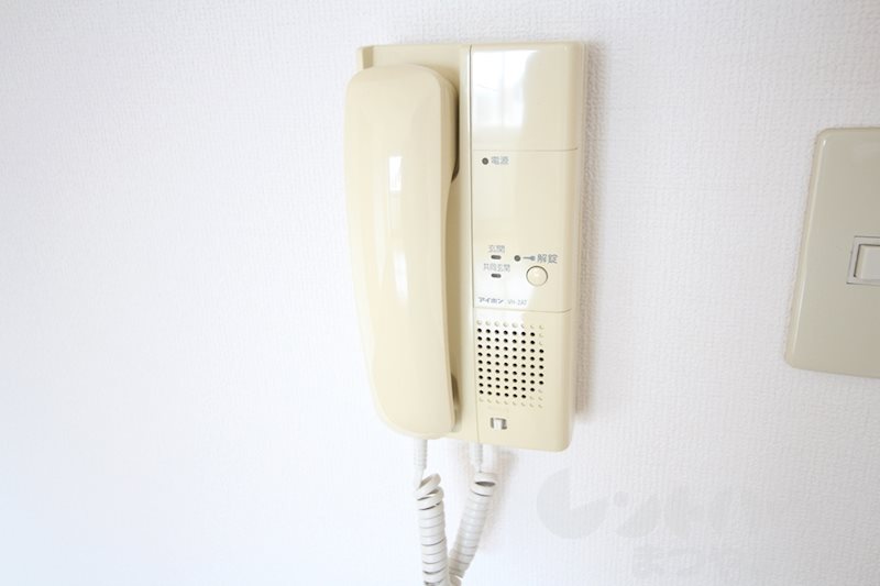 ing-α その他