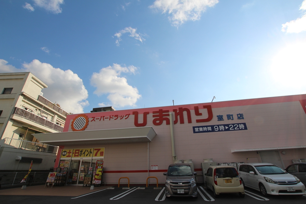 ルミナス勝山東 ドラッグストア