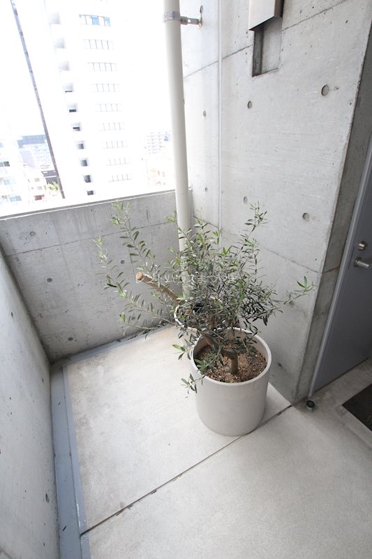 original box 28 その他