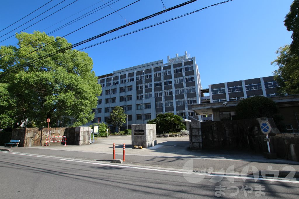 ステューディオツキヤマ 大学・短大