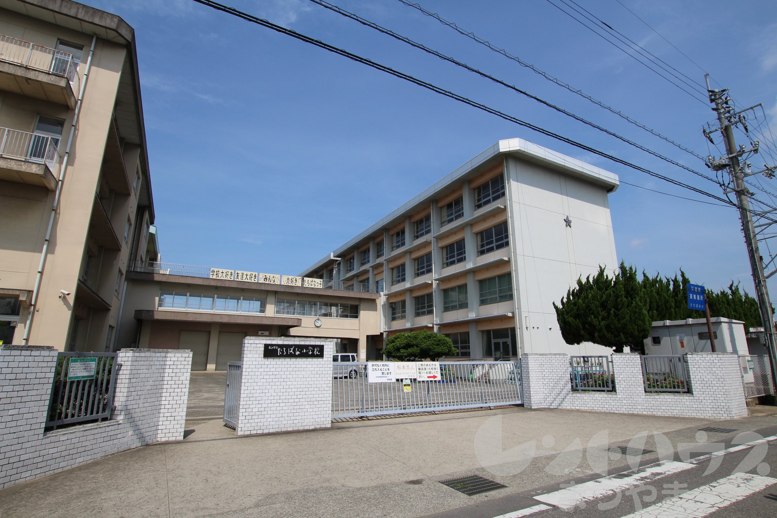 GREEN FOREST 小学校