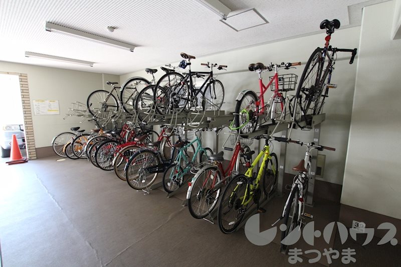 ピリカコスモス その他