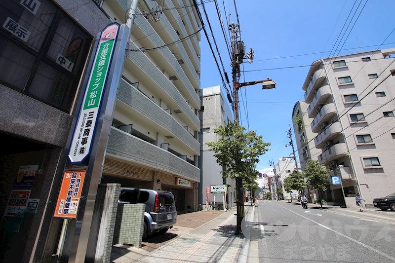 ピリカコスモス その他