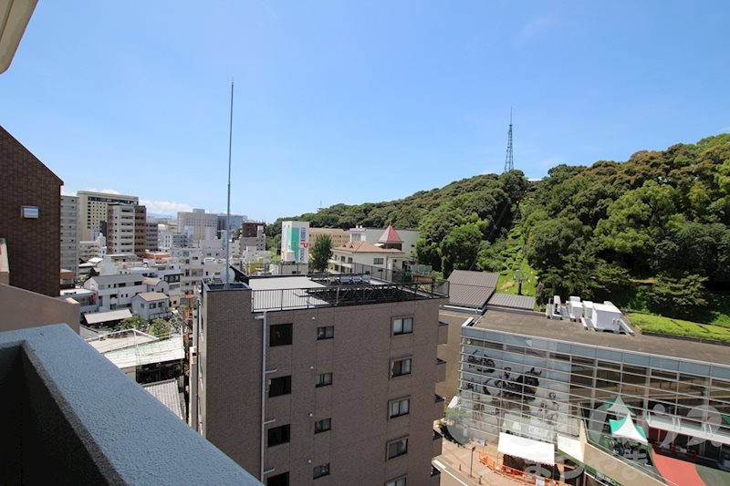 ピリカコスモス その他