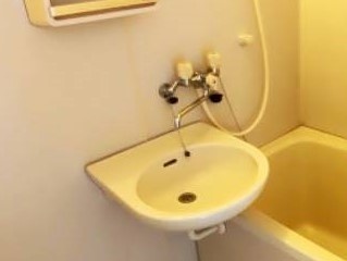ウィステリアⅠ 洗面所