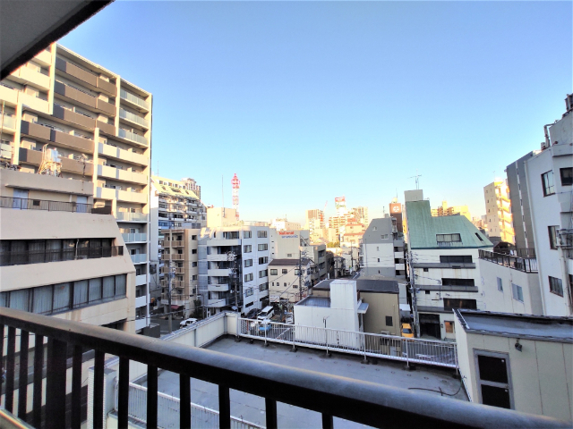 ベルメゾン白川 眺望