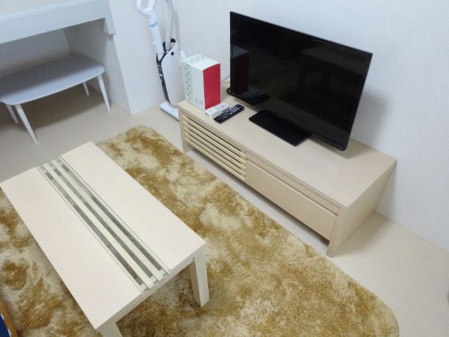 ヤゴトハウス レインズ用チラシ画像