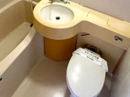 ヤゴトハウス レインズ用チラシ画像