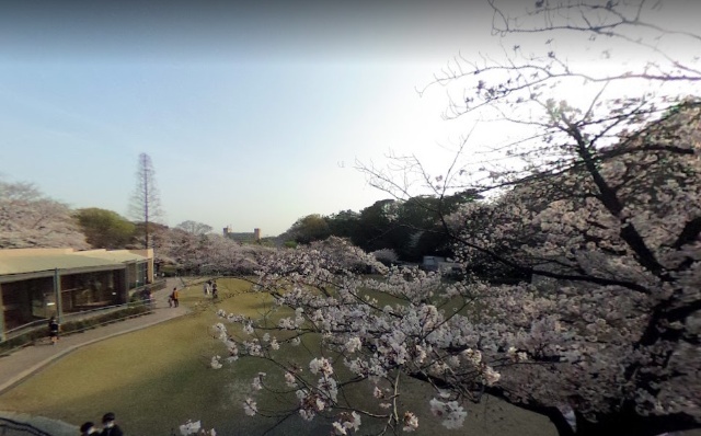 エミナンス東海 公園