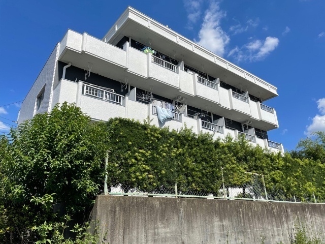 カルボンヌ音聞山 その他
