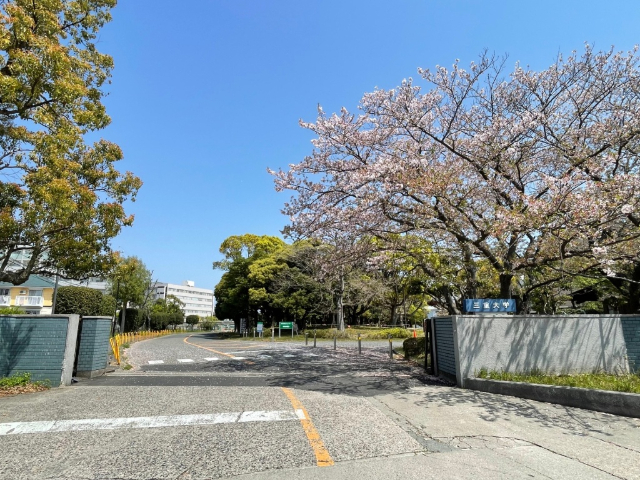 ドリーム２ その他