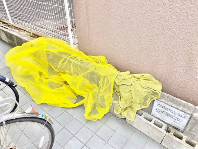 ルミエール植田 キッチン
