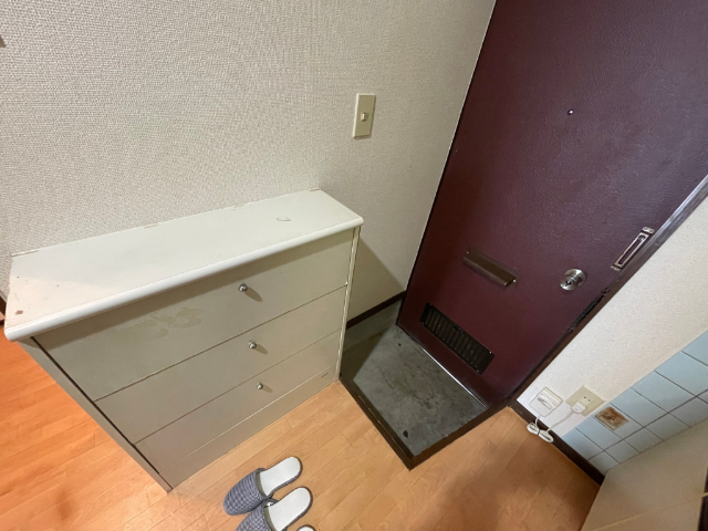 シャンパレスワコー 玄関