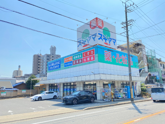 アベニュー石川橋 ドラッグストア