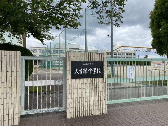 PlatinumOzone 中学校