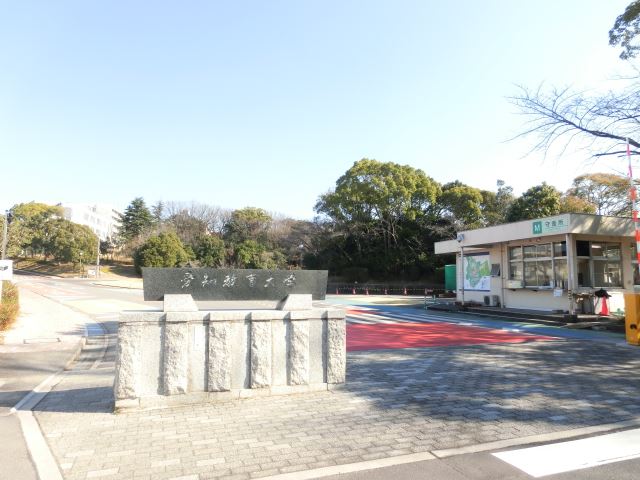 ＡＺＡＬＥＡ２号館 その他