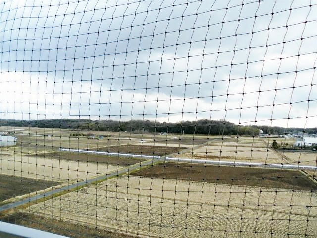 ＡＺＡＬＥＡ２号館 その他