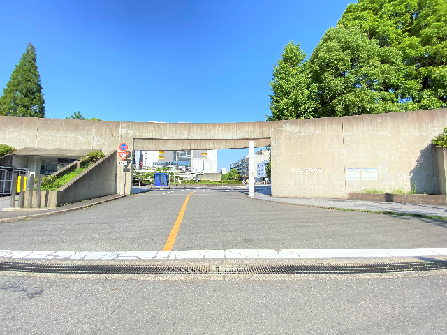 スカイコート阿由知通 その他