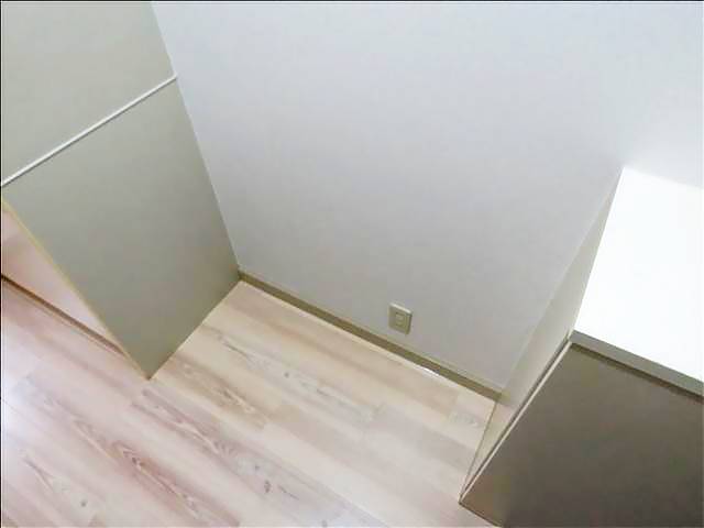 アーバニア猫洞 その他