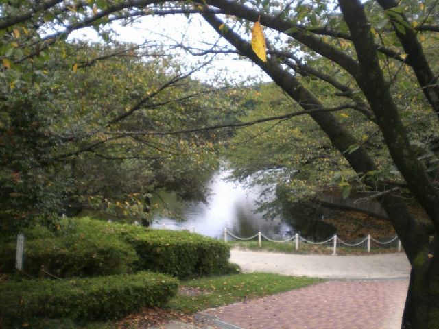 ラフィック・T 公園