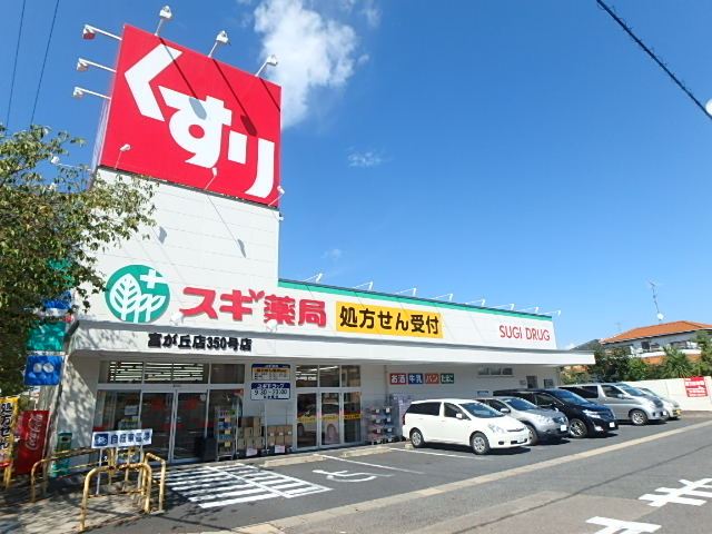 エクシード藤ヶ丘 ドラッグストア
