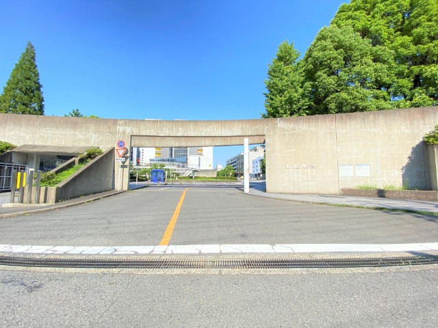 アベニューＳ・Ｋ その他