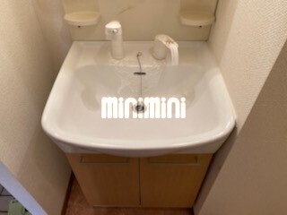ラフィネ四ツ谷 洗面所