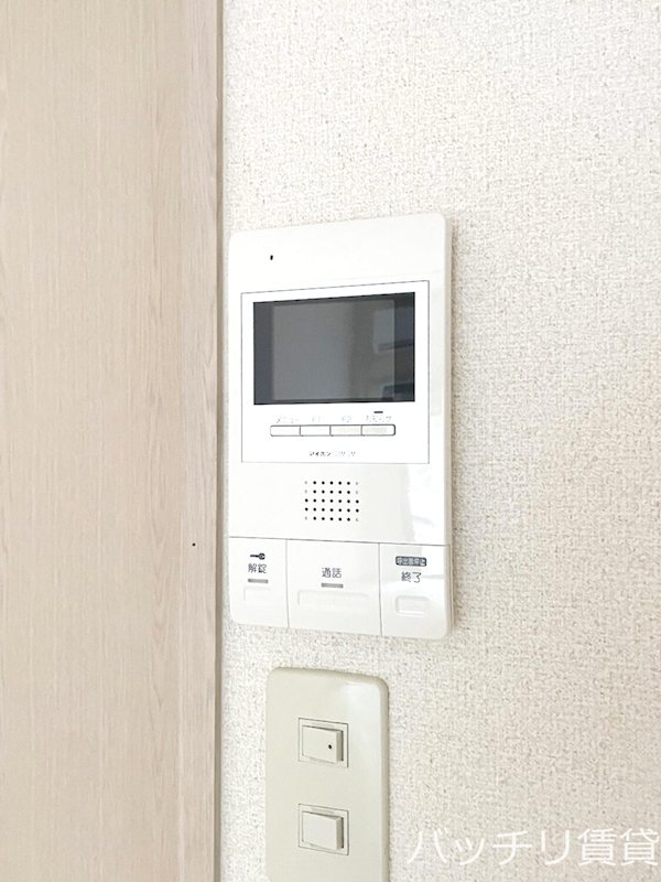 ハックベリー平和 セキュリティ