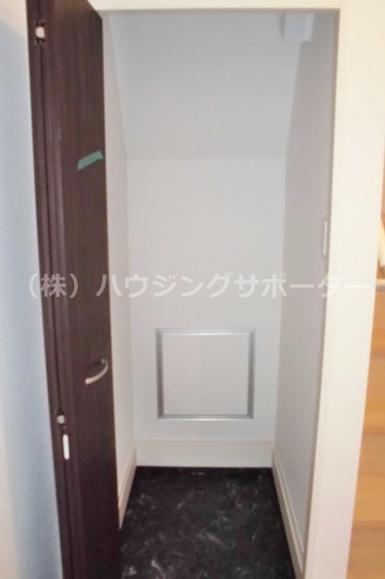 ココン　セレソ その他