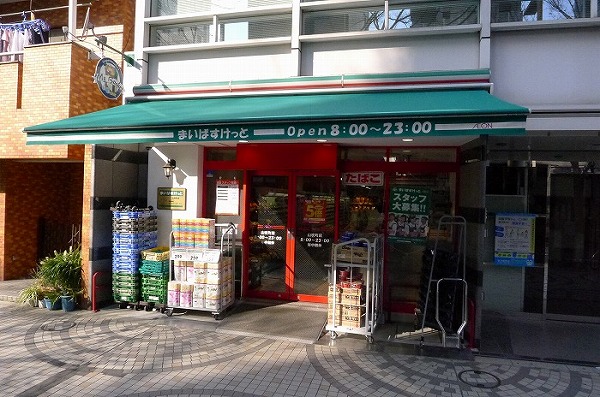 ステージグランデ蒲田 その他